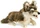 Folkmanis Handpuppe Wolf (2898)