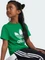 adidas Adicolor Trefoil T-Shirt kurzarm grün (Junior) Vorschaubild