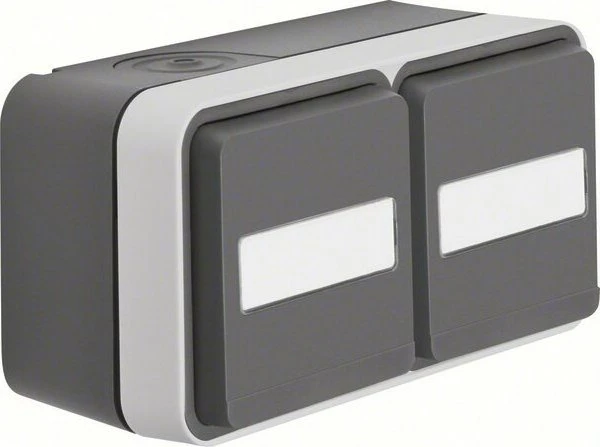 Berker W.1 Steckdose SCHUKO 2-fach waagerecht, grau/lichtgrau