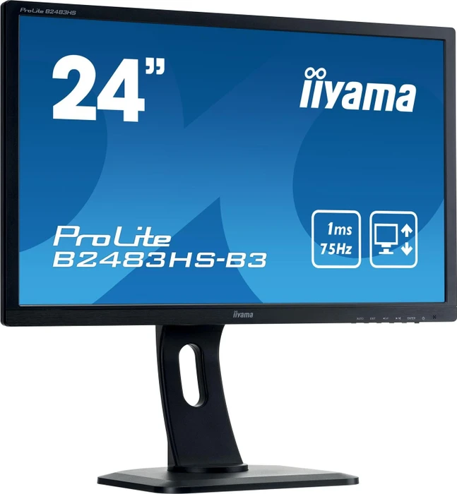 iiyama ProLite B2483HS-B3, 24"