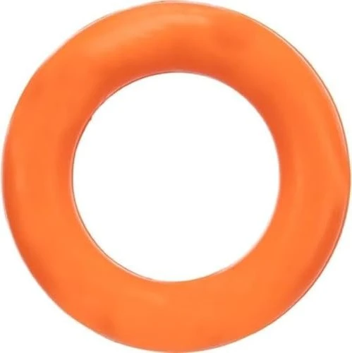 Trixie Ring Hundespielzeug, orange