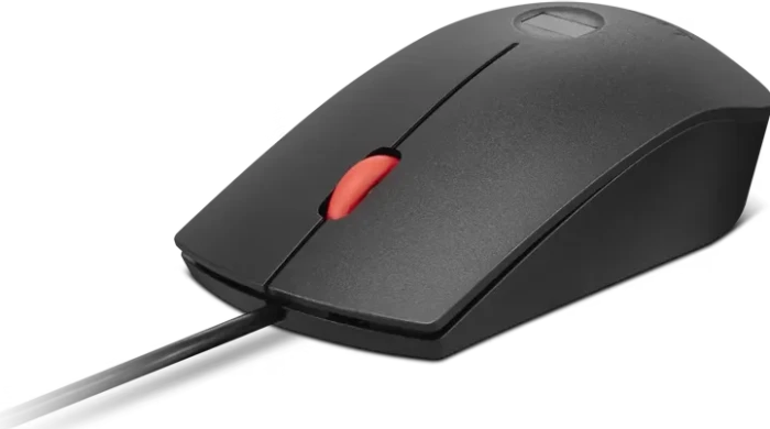 Lenovo Fingerprint Biometric Mouse Gen3, schwarz/rot, USB
