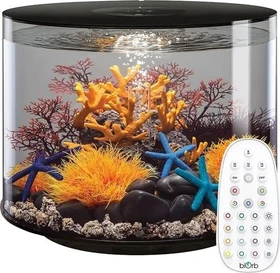 Oase biOrb Tube 35 MCR Aquarium schwarz