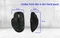 Inca IWM-551 Wireless Mouse schwarz, USB Vorschaubild
