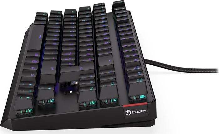 Endorfy Thock TKL, LEDs RGB, Kailh BROWN, USB, IT