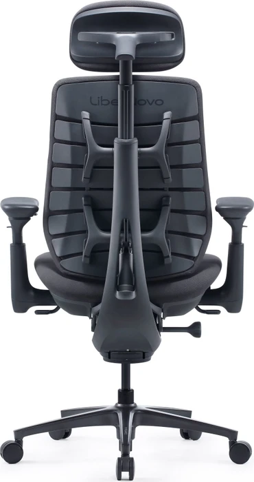 LiberNovo Maxis Electric, graphit