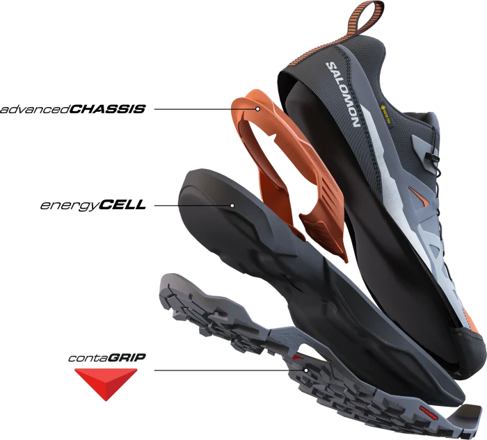 Salomon X Ultra 360 GTX quiet shade/black/spice route (Herren)