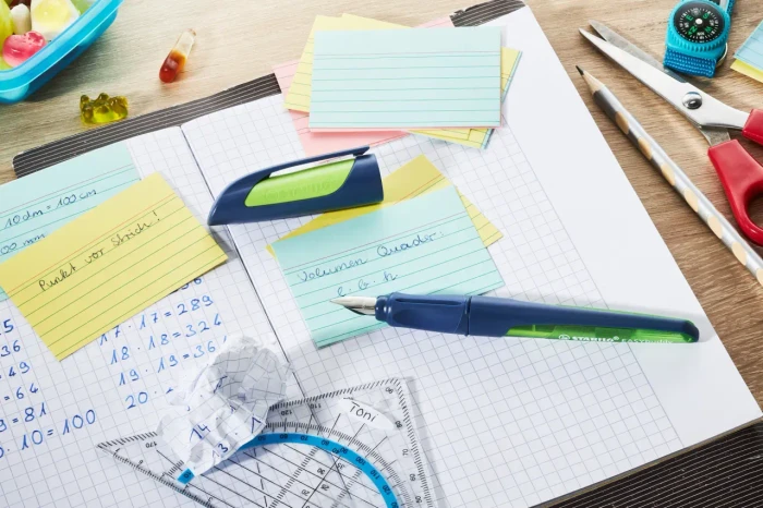 STABILO EASYbuddy Twilight Sky Edition stahlblau/limette, rechte Hand, mittel