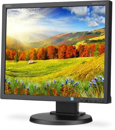 NEC MultiSync EA193Mi-BK, schwarz, 19"
