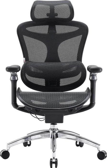 Sihoo Doro C300 Pro Ergonomischer Bürostuhl, schwarz