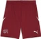 Puma UEFA EURO 2024 Schweiz Shorts Vorschaubild