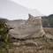adidas Terrex Winter Leather Mid Rain.RDY Cold.RDY wonder beige/alumina Vorschaubild