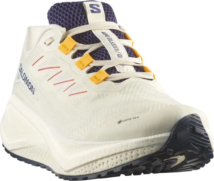 Salomon Aero Blaze 3 Grvl GTX vanilla ice/astra aura/lemon (Herren)