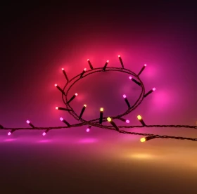 Philips Hue White and Color Ambiance Gradient Festavia Lichterkette 20m LED 250x warmweiß-tageslichtweiß RGBW