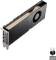 PNY RTX A5500, 24GB GDDR6, 4x DP Vorschaubild