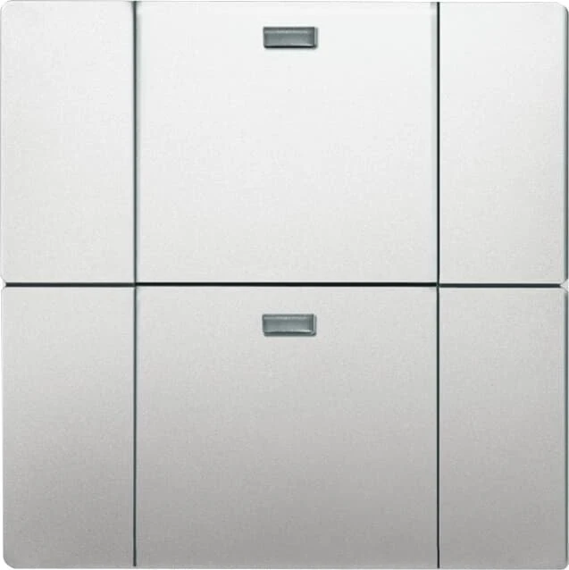 Busch-Jaeger WaveLine Wandsender Funk 2-fach, Pur Edelstahl, edelstahl