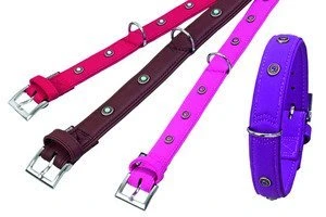 Karlie Art Buffalo Déco Halsband (verschiedene Farben/Größen)