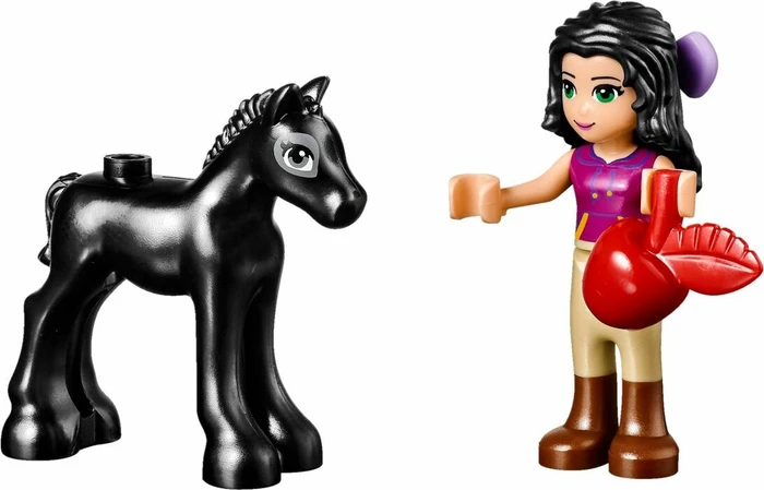 LEGO Friends - Waschhäuschen für Emmas Fohlen