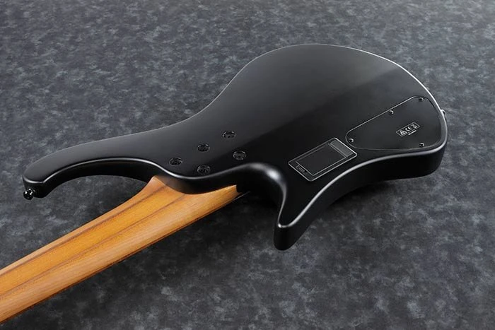Ibanez EHB1005MS BKF Black Flat