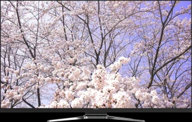 Grundig 65 GUB 9980