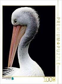 Calvendo Ein Motiv aus dem Kalender Näher an die Vogelwelt