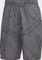 adidas Club Graphic Tennis Hose kurz grey four (Herren) Vorschaubild