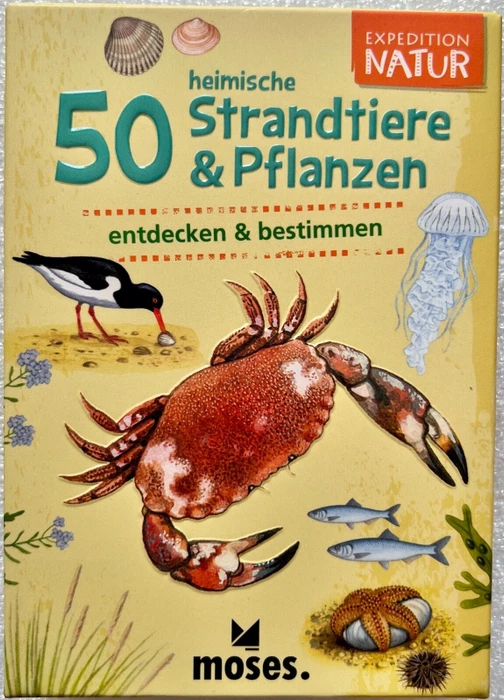 Expedition Natur 50 heimische Strandtiere & Pflanzen