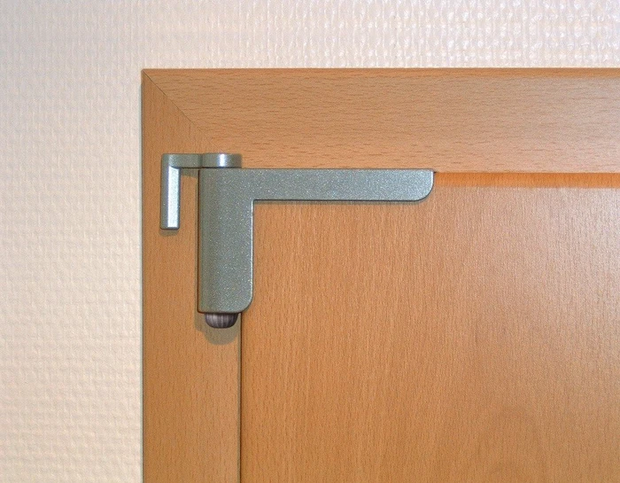 ABUS 2603 CL/DFNLIESPP silber, Türschließer