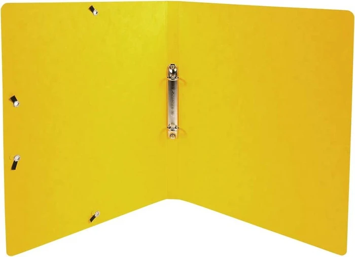 Exacompta Iderama Ringbuch 2-Ring, 20mm, A4, gelb