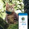 Tractive CAT 4, GPS Tracker für Katzen, Befestigung, Mitternachtsblau Vorschaubild