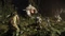 Evolve (PS4) Vorschaubild