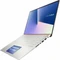 ASUS ZenBook 15 UX534FAC-AA196T, Icicle Silver, Core i7-10510U, 16GB RAM, 1TB SSD, DE Vorschaubild