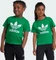 adidas Adicolor Trefoil T-Shirt kurzarm grün (Junior) Vorschaubild
