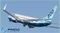 Flight Simulator X - PMDG 737 NGX für P3D V4 (Add-on) (PC) Vorschaubild