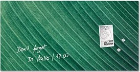 Sigel Artverum Glas-Magnetboard, Palm Leaf, 91x46cm