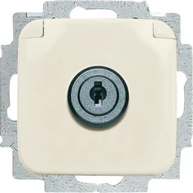 Busch-Jaeger Busch-Duro 2000 SI SCHUKO Steckdosen-Einsatz mit Klappdeckel