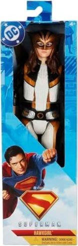 Spin Master DC Comics - Superman 30cm Action-Figuren (verschiedene Ausführungen)
