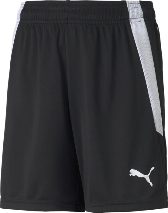 Puma TeamLIGA Shorts Trainingshose kurz puma black/puma white (Junior)