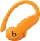 Apple Beats Powerbeats Pro 2 Vorschaubild