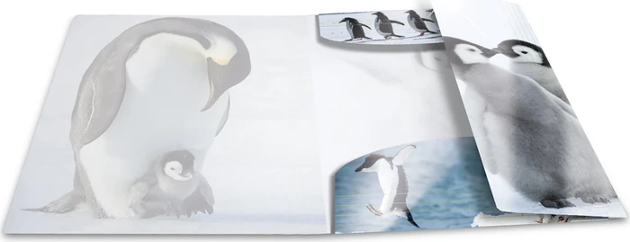 Herma Glossy Tiere Sammelmappe, A3, Pinguine
