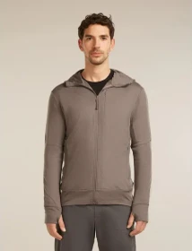 Icebreaker 260 Quantum Zip Hoodie Funktionsjacke porcini (Herren)