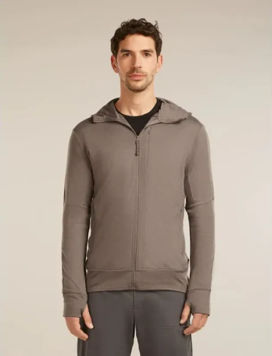 Icebreaker 260 Quantum Zip Hoodie Funktionsjacke porcini (Herren)