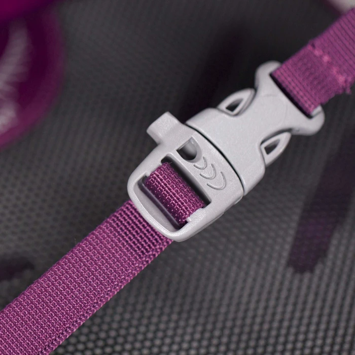 Osprey Daylite Plus 20 eggplant purple