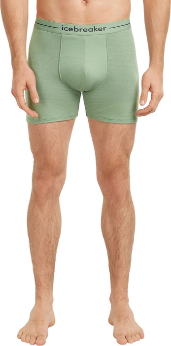 Icebreaker Anatomica Boxer Briefs seaglass (Herren)