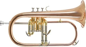Roy Benson Bb-Flügelhorn FH-302G
