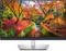 Dell UltraSharp 2021 Vorschaubild