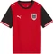 Puma FIFA WM 2026 Österreich Heimtrikot kurzarm (Junior) Vorschaubild