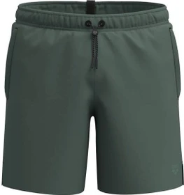 Arena Evo II Badeshorts sage (Herren)