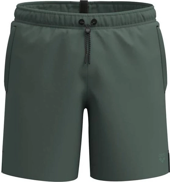 Arena Evo II Badeshorts sage (Herren)