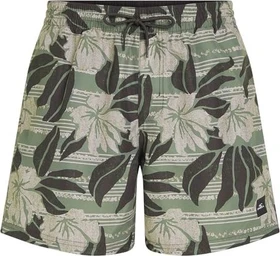O'Neill Cali Floral 16" Badeshorts green dusty flower (Herren)